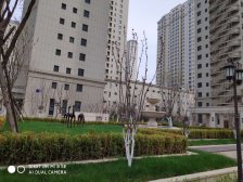 西站豪布斯卡 小复式 精装修 看房提前预约