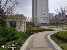 毛坯房 高楼层 嘉威对 面 看房随时 可按揭 朝南