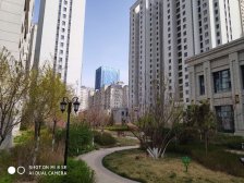 豪布斯卡瀚园 南北通透 四室两厅 采光好