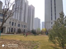 豪布斯卡瀚园 四室大平层 南北通透 随时看房