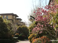 清华大溪地六号院 3室2厅 南 北