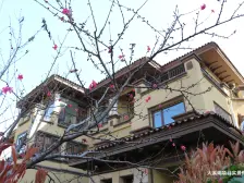 中原路桃贾路交叉口,大溪地十一号院次新小区