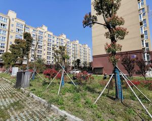中鑫花苑精装优质两房高铁旁优质精致2房