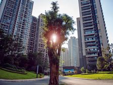 ×ñÒåÊÐǰÈý´óÂ¥ÅÌ×ÛºÏÌå,ÅäÌ×ÉèÊ©Ï൱ÍêÉÆ