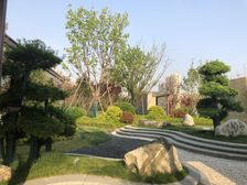 泰山大街 司家庄高层 苹果园 岱岳花园 丰泽领秀城