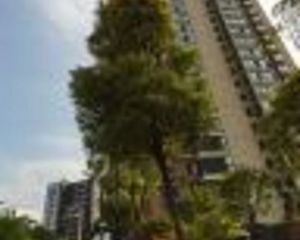 双绣湖 义乌之心旁解放新苑 全新装修 2室2厅 满二