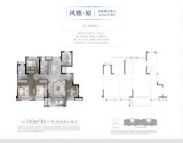 国贸·凤凰原4室2厅1厨2卫建面110.00㎡