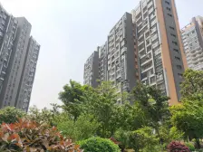 南北通透双阳台,电梯中层,总价低。