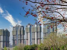 金沙宸宇公馆 2室2厅 东南