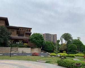 地处绿岛新区,环境优美,距离体育公园,儿童公园都近
