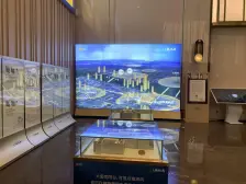 佳兆业樾伴山 4室1厅 东南