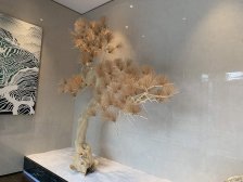璧山高新区 佳兆业樾伴山三房69.8万