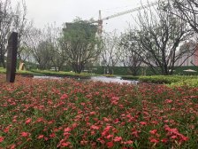 湿地公园旁樾伴山,小区环境优美&