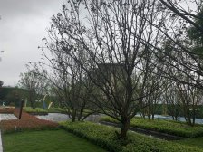 佳兆业樾伴山 4室2厅 南