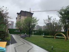 业主诚心出售,有阳台,视野好。