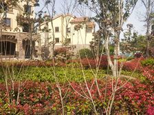 江南 江景别墅 维多利亚精装联排别墅