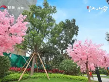 南北对流户型四房,精装业主自住保养好带车位出售