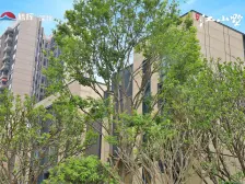 旭辉江山墅 4室2厅 南 北