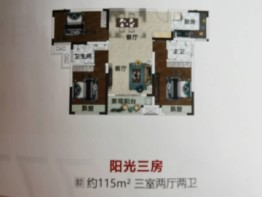 新野建业城3室2厅1厨2卫建面115.00㎡