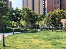嘉都东西向日不落两居室,采光好,无遮挡,户型方正