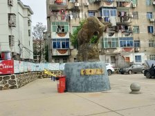 房东年轻人好,因工作调动,急售价格可以谈。