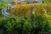 新川科技园实景图