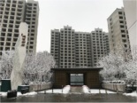 示范区大门雪景实景图