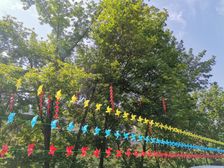 碧桂园·阅江山4室2厅南北