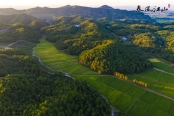 周边大田山林实景图