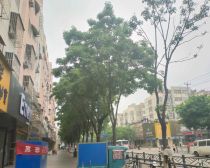 【牛山北路51号】| 东海县石榴街道新城壹号苑二期24-4-101室