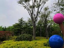 知春湖乐心园双拼别墅院子露台车位