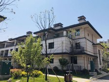 急售 建滔裕园 洋房大平层 160平 南北通透 全新毛坯