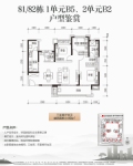 81/82栋1单元B5、2单元B2户型