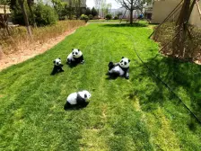 户型,无浪费空间,无遮挡,采光好 。