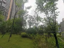 新景未来城 4室2厅 南 北