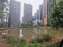 新景未来城|国企开发大盘|毛坯大四房|带车位