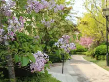 海韵华府 天然氧吧 法式园林 洋房 户型方正 采光好