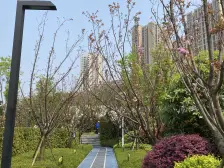 滨江路品质楼盘 户型方正 采光好 龙湖物业 近轻轨