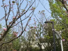 巴滨路国企大盘 龙湖物业 看江四房 近轻轨站 急售