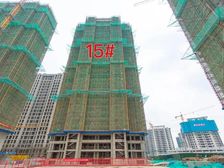 春江明月 3室2厅 南 北