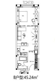 塞外仙都温泉庄园1室1厅1厨1卫建面45.24㎡