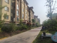 白鹭湖庄园沁园 别墅 采光充足 户型方正