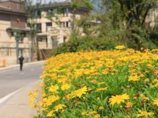 龙洲湾 阳光100阿尔勒一期四房148万