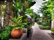 龙洲湾 阳光100阿尔勒二期三房260万