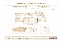 灵璧碧桂园5室2厅1厨3卫建面220.00㎡