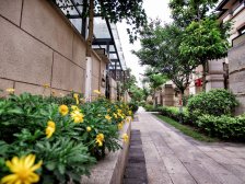 龙洲湾上叠,2层楼带屋顶花园,精装修