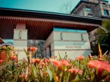 龙洲湾地铁旁,下叠别墅带花园带车位