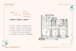 新空港孔雀城天玺3室2厅1厨2卫建面120.00㎡