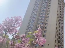 金牛山庄 2室1厅 东