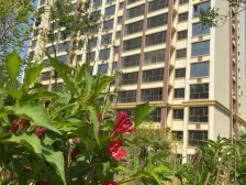 金牛山庄 业主诚心出售 随时看房